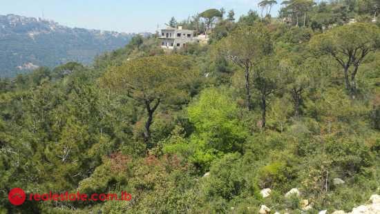 Land for Sale in Bolonia — Hub Realtors