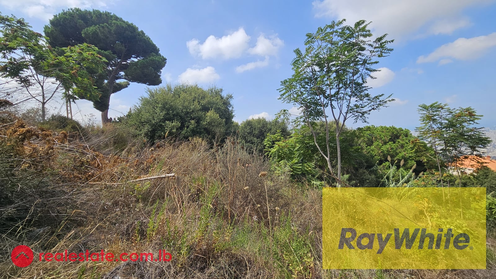 Land for sale in Ain Saadeh|Prime location — Hub Realtors