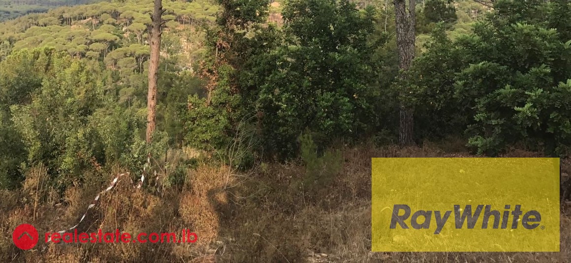 Land for sale in Qsaybeh — Hub Realtors